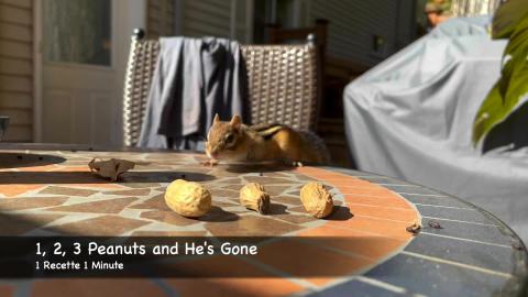 1, 2, 3 Peanuts and He's Gone / Steve the Chipmunk