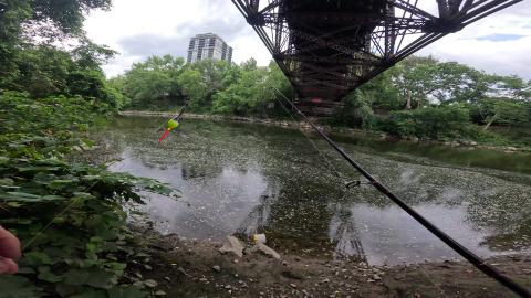 intro back to river