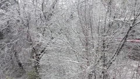 My Magical ride to work each day in Canada.