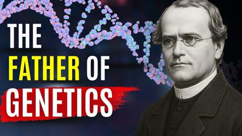 Gregor MENDEL:  The Monk Behind the Fundamental Laws of I...