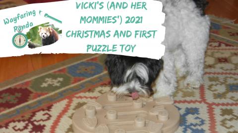 Vicki's (and her Mommies') 2021 Christmas