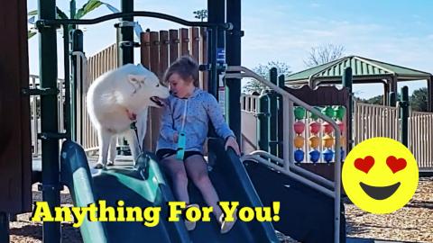 Patient Husky Is A Great Babysitter