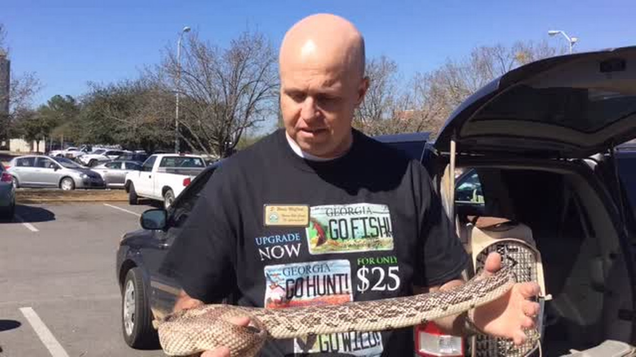 Video Bibb County Tax Commissioner’s Office Gets Wild For Wildlife Tag