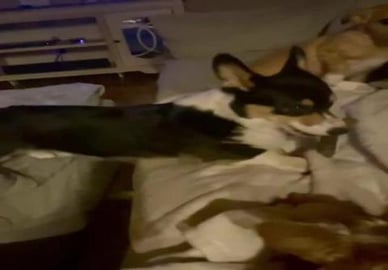 Just trying to bridge the gap