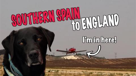 Flying to the UK with Percy the Labrador in G-LTFB
