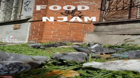 2023-07-21-203243316