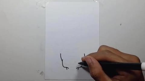 Drawing Grafiti SKULL ROLL shorts