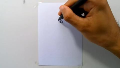 Drawing HARLEY QUINN CHIBI