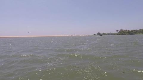 Reached Golden Sand Beach | Poovar | Kerala