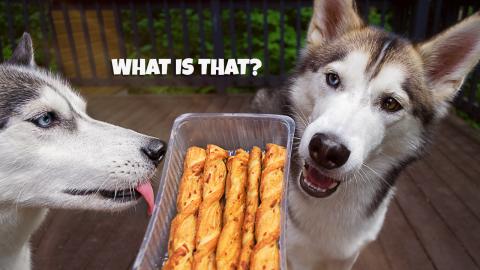 Huskies Eating Bacon Breadsticks | Funny Dogs Video