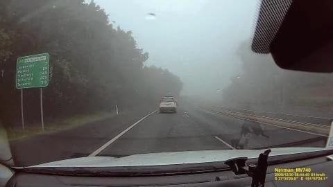 Lots of fog on our drive, can't see a thing