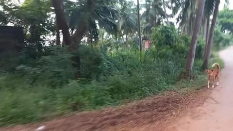Returning From Heroor | Karnataka
