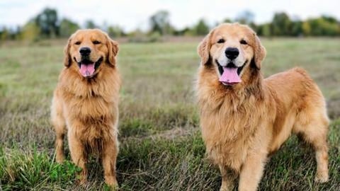 Living the Mud Life!