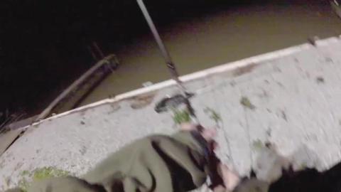 The Catches of the Night