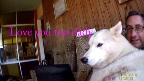 Husky lapdog, and she wants to learn to use the computer
