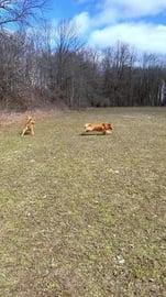 Thank Goodness the Mud Days are Over!