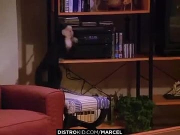 Marcel - One Eat All Eat Ft. Hundo Sitchy