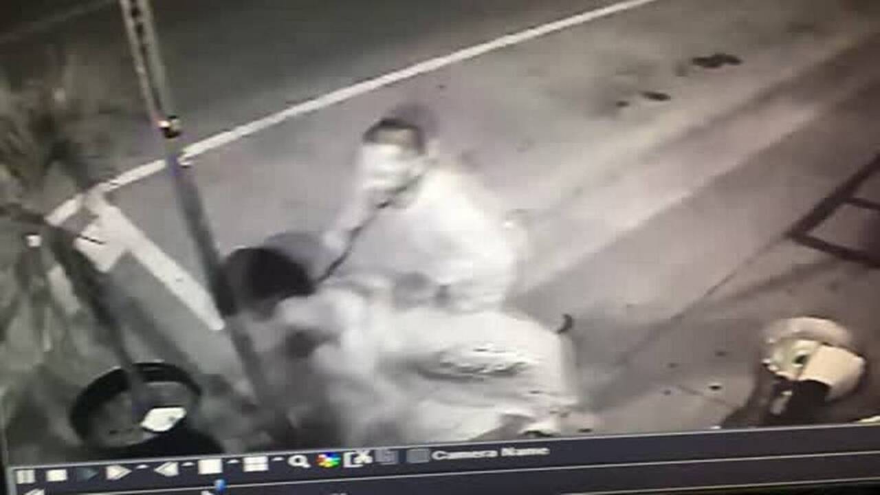 Cops looking for men who damaged pricey statue | Miami Herald