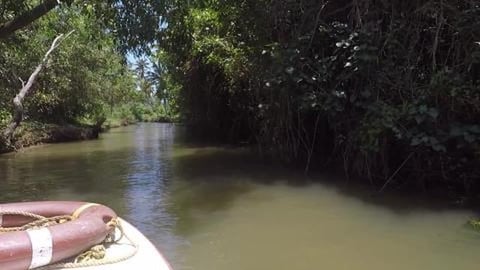 Poovar Backwaters | Kerala