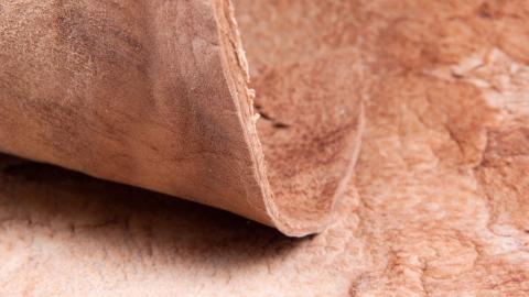 Leather Made from Mushrooms!