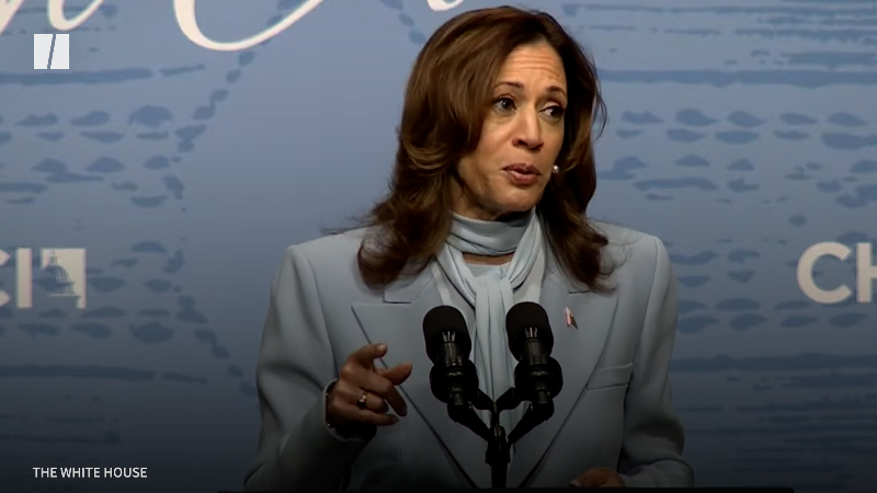 Democrats’ Surprisingly Simple Closing Message Against Donald Trump: The Issues (huffpost.com)