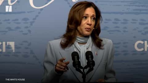 Democrats’ Surprisingly Simple Closing Message Against Donald Trump: The Issues (huffpost.com)