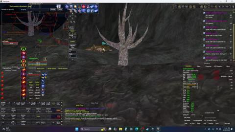 Everquest : Brognot
