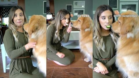Feeding My Dog By Mouth Challenge
