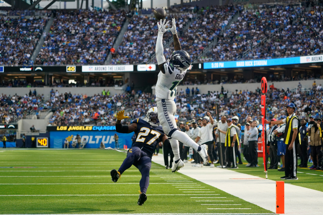 Seahawks Wide Receiver DK Metcalf Makes A Leaping Catch, 60% OFF