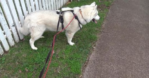 No Eddie, has he moved? Went past Mack to visit the ducks...