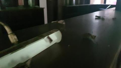 Abandoned bar where the soldiers drank