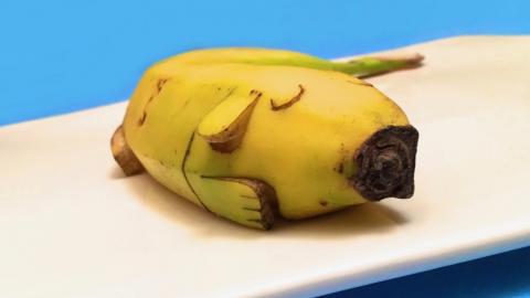 How to Make a Sleeping Banana Dog