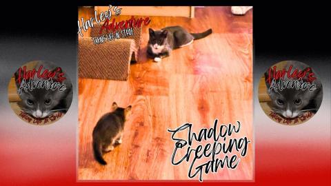 Shadow Creeping Game Music Lyrics