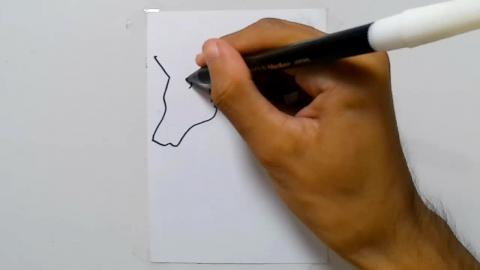 Drawing tatto v29 2024 shorts