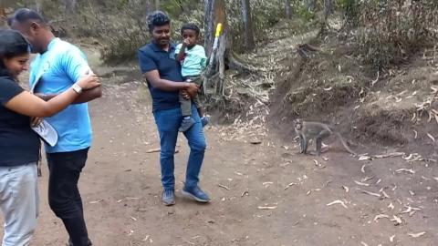 Walking Towards Guna Cave | Kodaikanal | Tamil Nadu