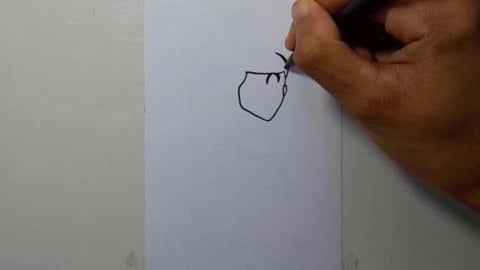 DRAW REY SHORTS