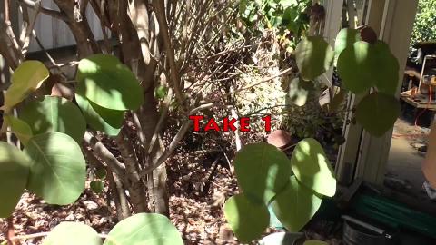 Chainsaw massacre, except the chain kept falling off