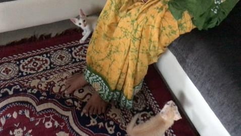 Tedy & Gify playing part !!! my pets !! by bb chef