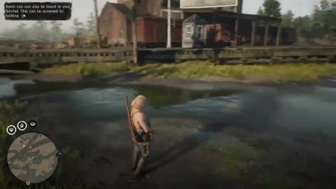 Red Dead Redemption 2 ONLINE _New_ Unlimited FISH & BIRD ...