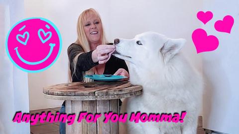 Eating Invisible Food In Front Of My Dog!