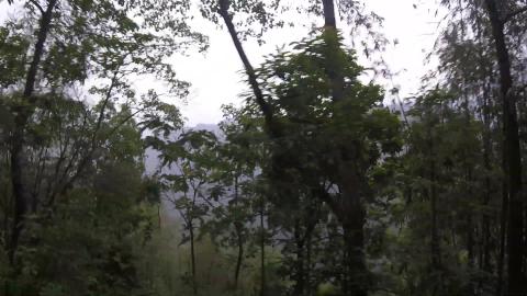 Towards Khecheopalri Lake | West Sikkim