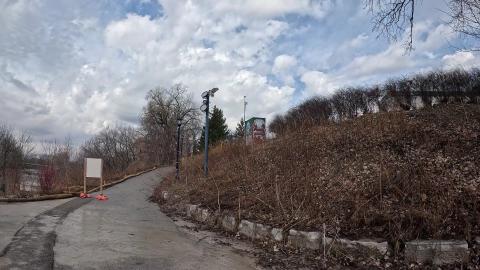Red Tail Hawk Perch Landing