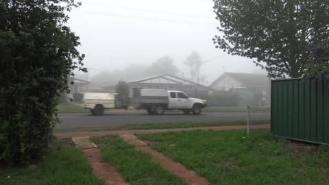 Can't see the Husky's due to fog