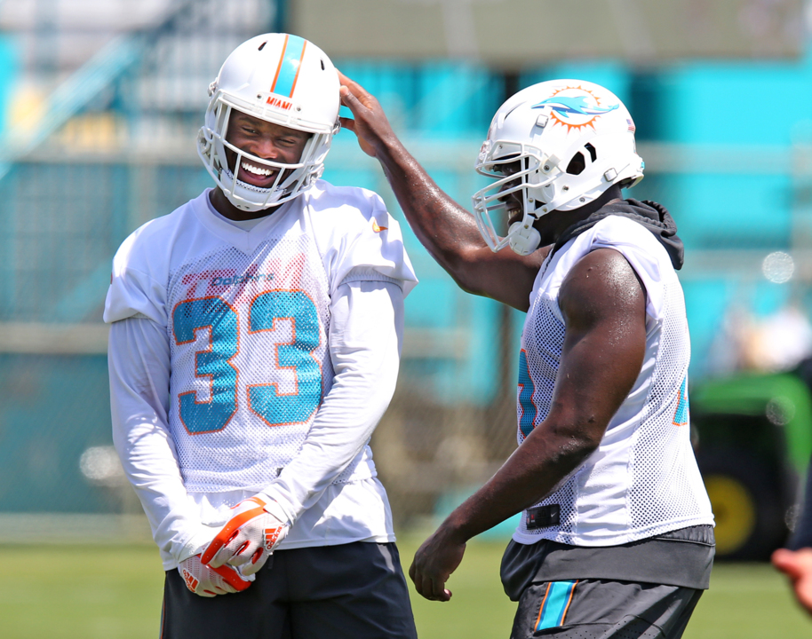 Ryan Tannehill kicks rookie RB out of Miami Dolphins' huddle 