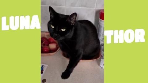 is that a new kind of fruit