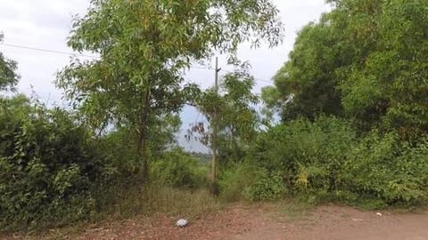 Brief Stoppage During Trek To View Shoreline | Gokarna