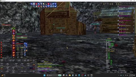 Everquest : A Dastardly Scoundrel