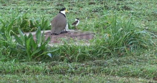 Who's a proud mumma & squatters moved in to abandoned hou...