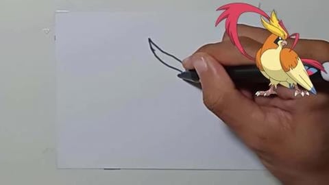 DRAW POKEMON MEGA PIDGEOT #SHORTS