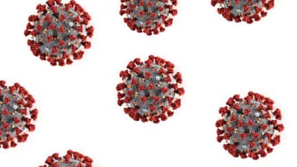 COVID tests lagging: Slower turnaround times creeping back for Californians